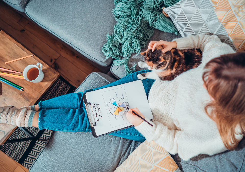 areal shot of a girl sitting on a coach with a cat working